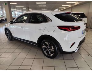 
										KIA CEED X1.6 MHEV 100KW DRIVE (136CV) TODOTERRENO full									