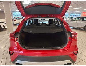 
										KIA CEED X1.6 MHEV 100KW DRIVE (136CV) TODOTERRENO full									