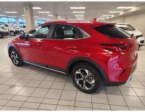 
										KIA CEED X1.6 MHEV 100KW DRIVE (136CV) TODOTERRENO full									