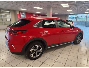 
										KIA CEED X1.6 MHEV 100KW DRIVE (136CV) TODOTERRENO full									