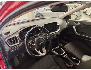 
										KIA CEED X1.6 MHEV 100KW DRIVE (136CV) TODOTERRENO full									