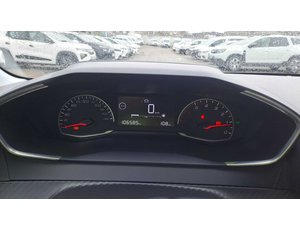 
										PEUGEOT 208 1.5 BLUEHDI 73KW ACTIVE (100CV) BERLINA CON PORTÓN full									