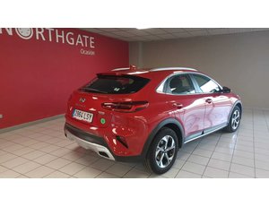 
										KIA CEED X1.6 MHEV 100KW DRIVE (136CV) TODOTERRENO full									