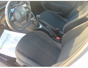 
										PEUGEOT 208 1.5 BLUEHDI 73KW ACTIVE (100CV) BERLINA CON PORTÓN full									