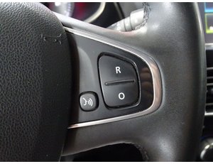 
										RENAULT CLIO LIMITED TCE 66KW (90CV) -18 full									