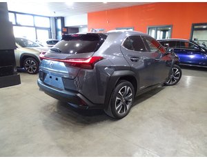 
										LEXUS UX 2.0 250H STYLE full									