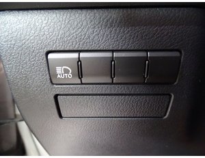 
										LEXUS NX 2.5 300H BUSINESS 2WD full									