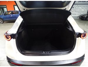 
										MAZDA CX-30 E-SKYACTIV-G 2.0 90 KW 2WD ORIGIN full									