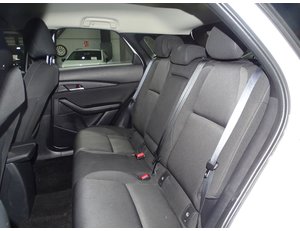 
										MAZDA CX-30 E-SKYACTIV-G 2.0 90 KW 2WD ORIGIN full									