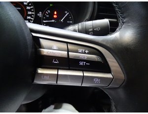 
										MAZDA CX-30 E-SKYACTIV-G 2.0 90 KW 2WD ORIGIN full									