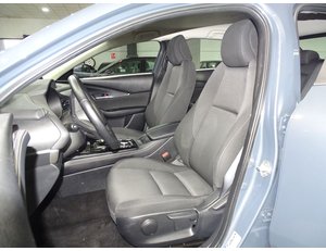 
										MAZDA CX-30 2.0 90 KW 2WD ZENITH (SIN PACK BOSE) full									