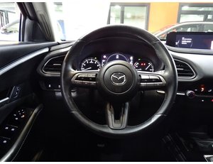 
										MAZDA CX-30 2.0 90 KW 2WD ZENITH (SIN PACK BOSE) full									
