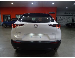 
										MAZDA CX-30 2.0 90 KW 2WD ZENITH (SIN PACK BOSE) full									