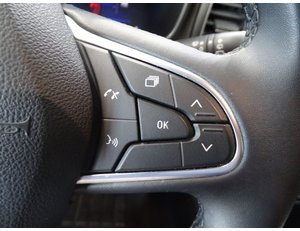 
										RENAULT MEGANE INTENS TCE 103 KW (140CV) GPF full									