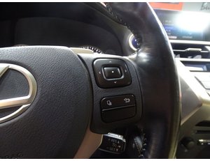 
										LEXUS NX 2.5 300H EXECUTIVE 4WD full									
