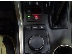 
										LEXUS NX 2.5 300H EXECUTIVE 4WD full									