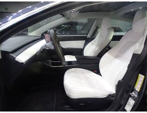 
										TESLA MODEL 3 GRAN AUTONOMIA AWD full									