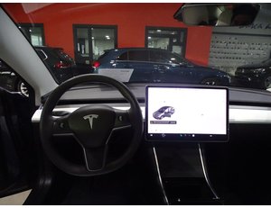 
										TESLA MODEL 3 GRAN AUTONOMIA AWD full									