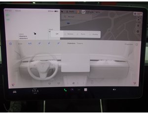 
										TESLA MODEL 3 GRAN AUTONOMIA AWD full									