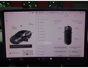 
										TESLA MODEL 3 GRAN AUTONOMIA AWD full									