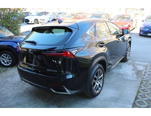 
										LEXUS NX 2.5 300H EXECUTIVE 4WD full									