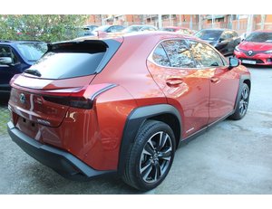 
										LEXUS UX 2.0 250H STYLE full									