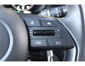 
										HYUNDAI BAYON 1.0 TGDI 74KW (100CV) 48V MAXX DCT full									