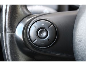 
										MINI COUNTRYMAN COOPER S E ALL4 full									