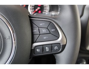 
										JEEP RENEGADE LIMITED 1.6 MJET 95,6KW (130CV) 4X2 full									