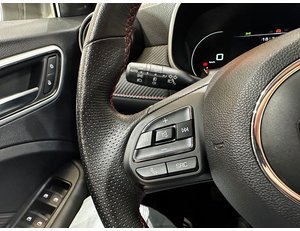
										MG ZS 1.5 LUXURY full									
