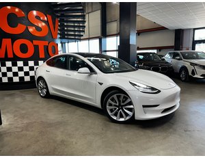 
										TESLA MODEL 3 GRAN AUTONOMIA AWD full									