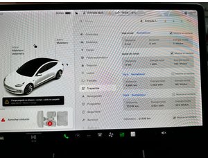 
										TESLA MODEL 3 GRAN AUTONOMIA AWD full									
