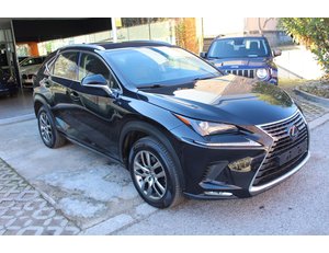 
										LEXUS NX 2.5 300H EXECUTIVE 4WD full									