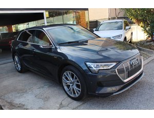 
										AUDI E-TRON ADVANCED 55 QUATTRO full									