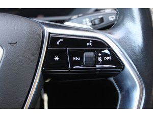 
										AUDI E-TRON ADVANCED 55 QUATTRO full									