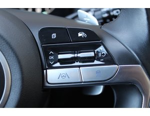 
										HYUNDAI TUCSON 1.6 TGDI PHEV 195KW TECNO SKY AUTO 4X4 full									
