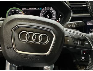 
										AUDI Q3 45 TFSI E 180KW S TRONIC S LINE full									