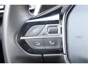 
										PEUGEOT 3008 1.5 BLUEHDI 96KW S&S ACTIVE PACK EAT8 full									