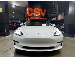 
										TESLA MODEL 3 GRAN AUTONOMIA AWD full									