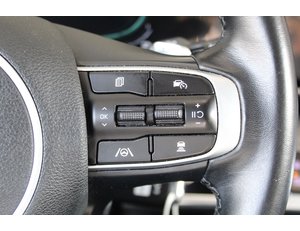 
										KIA SPORTAGE 1.6 T-GDI PHEV 198KW (265CV) DRIVE 4X4 full									
