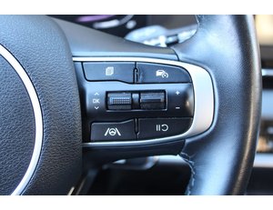 
										KIA SPORTAGE 1.6 T-GDI 110KW (150CV) CONCEPT 4X2 full									