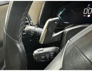 
										DS AUTOMOBILES DS 7 1.6 E-TENSE 225 AUTO RIVOLI full									