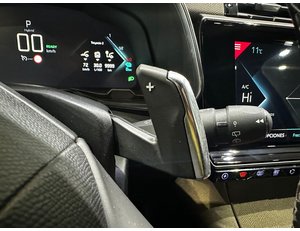 
										DS AUTOMOBILES DS 7 1.6 E-TENSE 225 AUTO RIVOLI full									