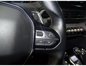 
										PEUGEOT 3008 300 E-EAT8 GT full									