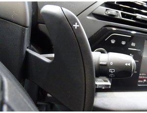 
										CITROEN GRAND C4 SPACETOURER BLUEHDI 96KW (130CV) EAT8 FEEL full									