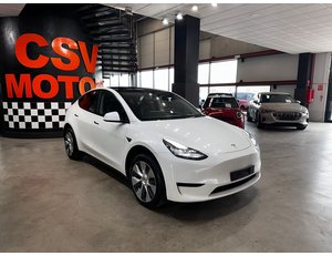
										TESLA MODEL Y TRACCION TRASERA RWD full									