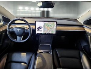 
										TESLA MODEL 3 GRAN AUTONOMIA 4WD full									