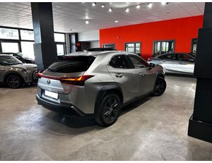 
										LEXUS UX 2.0 250H LUXURY full									