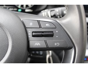 
										HYUNDAI BAYON 1.0 TGDI 74KW (100CV) 48V MAXX DCT full									