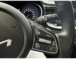 
										KIA XCEED 1.6 GDI PHEV 104KW (141CV) EMOTION full									